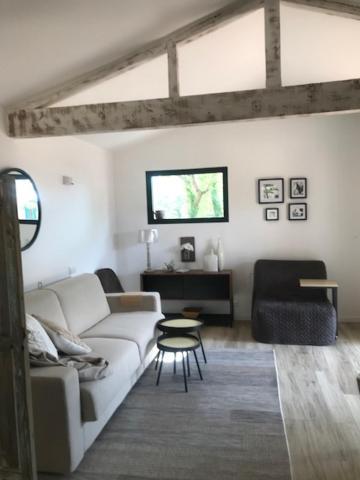 La Brindille Petit Mas Provencal Meuble De Tourisme 3 Etoiles 2-3 Personnes 1 Piece 30 M2 Tout Confort Lisiere Foret Jardin Jacuzzi Piscine Saint-Paul-en-Foret Экстерьер фото