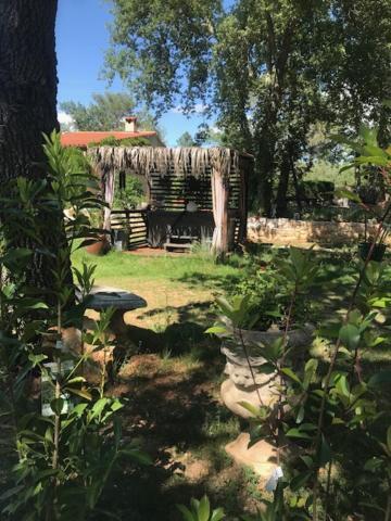 La Brindille Petit Mas Provencal Meuble De Tourisme 3 Etoiles 2-3 Personnes 1 Piece 30 M2 Tout Confort Lisiere Foret Jardin Jacuzzi Piscine Saint-Paul-en-Foret Экстерьер фото